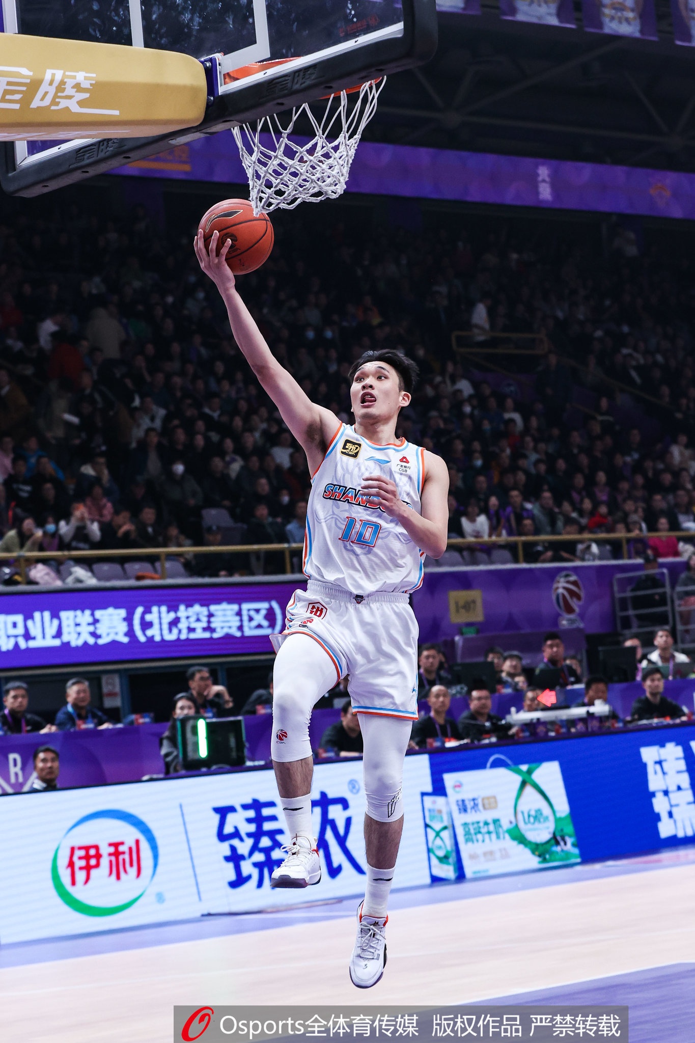 2024年状元秀!媒体人:山西汾酒男篮租借得到谢智杰
